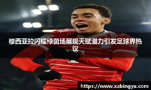 DG视讯